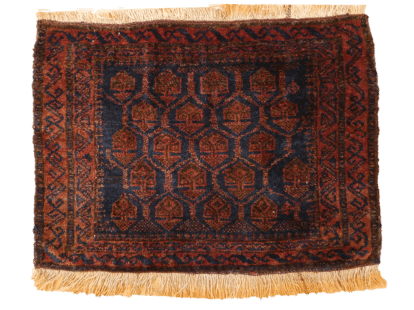 BELUTCH BAGFACE 67cm x 49cm