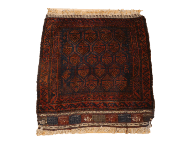 BELUTCH BAGFACE 63cm x 63cm
