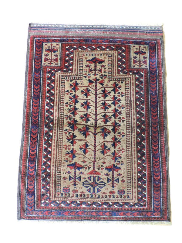 BELUTCH 117cm x 86cm
