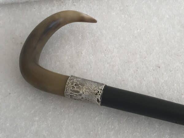 Gentleman’s walking stick sword stick with silver collar - Image 3