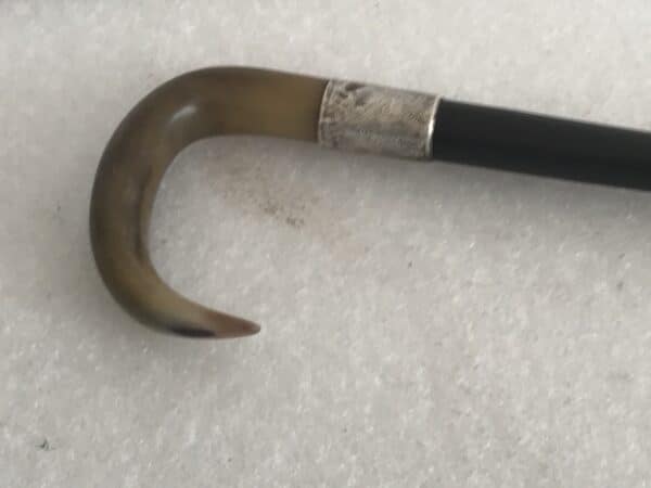 Gentleman’s walking stick sword stick with silver collar - Image 7