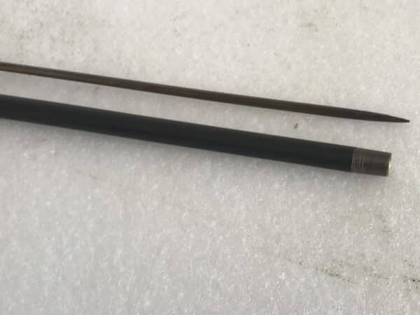 Gentleman’s walking stick sword stick with silver collar grand tour Miscellaneous 14