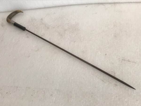 Gentleman’s walking stick sword stick with silver collar grand tour Miscellaneous 15