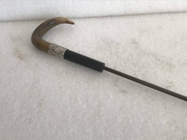 Gentleman’s walking stick sword stick with silver collar grand tour Miscellaneous 17