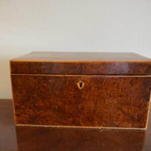 Regency Tea Caddy amboyna Antique Boxes