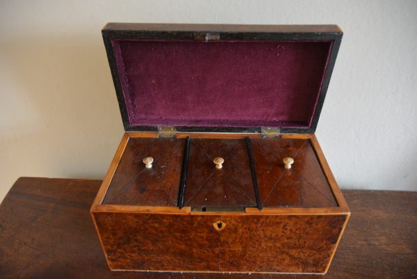 Regency Tea Caddy amboyna Antique Boxes 4