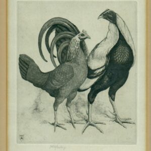 Print of Game Fowl by J R G Exley Exley Antique Prints