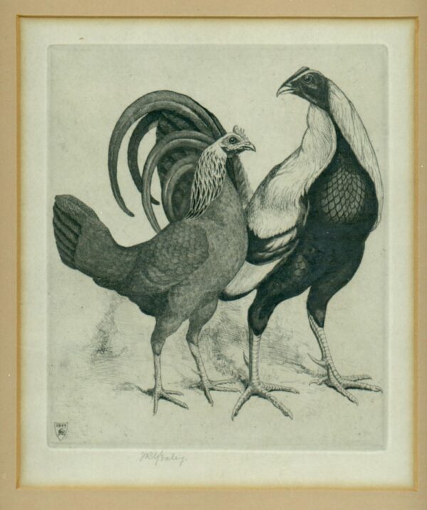 Print of Game Fowl by J R G Exley