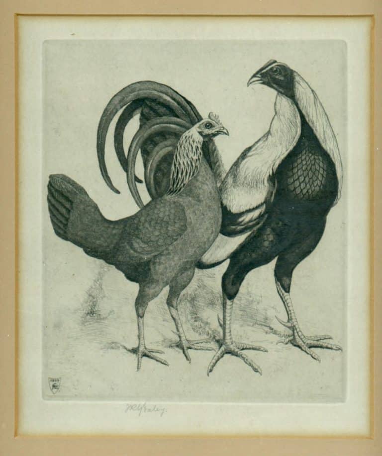 Print of Game Fowl by J R G Exley
