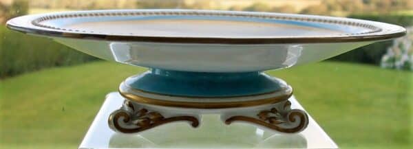 Antique English Victorian Semi – Porcelain Botanical Part Dessert Service by Grainger of Worcester Antique Antique Ceramics 4