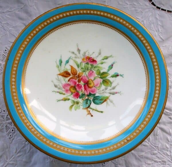 Antique English Victorian Semi – Porcelain Botanical Part Dessert Service by Grainger of Worcester Antique Antique Ceramics 6