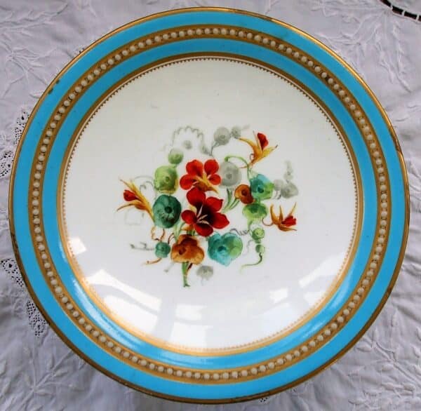 Antique English Victorian Semi – Porcelain Botanical Part Dessert Service by Grainger of Worcester Antique Antique Ceramics 9