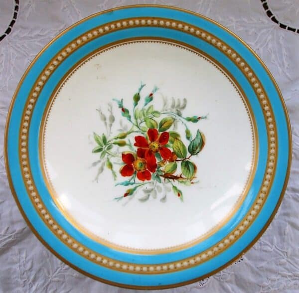 Antique English Victorian Semi – Porcelain Botanical Part Dessert Service by Grainger of Worcester Antique Antique Ceramics 24
