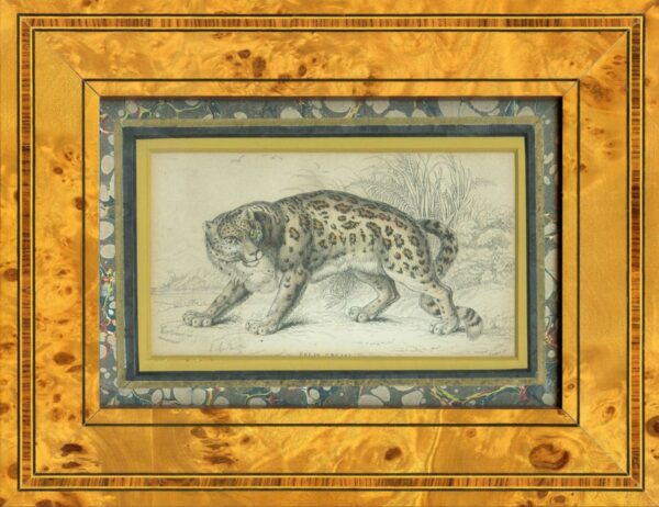 Prints of a Lion and a Leopard - Image 2