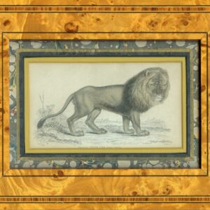 Prints of a Lion and a Leopard Antique Prints