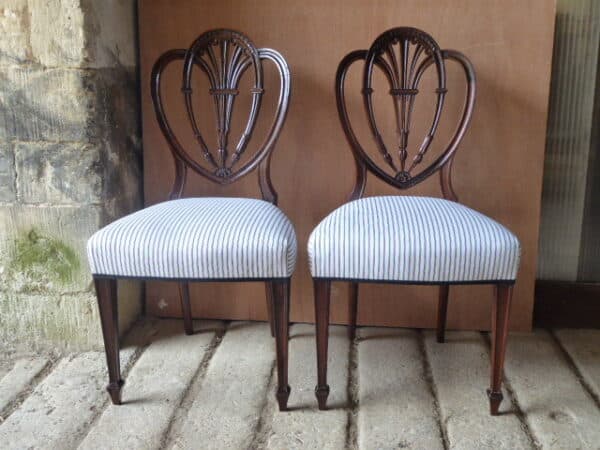 Pair of mahogany side chairs by Holland and Sons