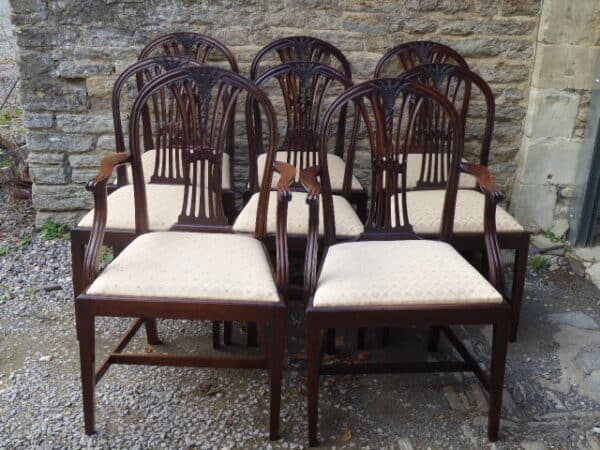 Set of 8 mahogany dining chairs circa 1885 dining chairs Antique Chairs 3