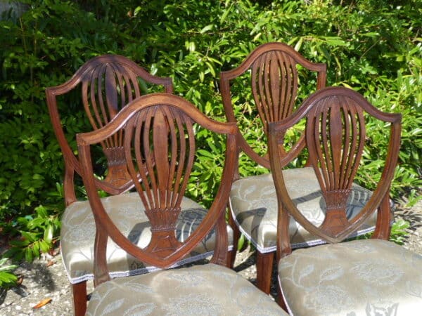 Set of 4 mahogany Hepplewhite dining chairs circa 1800 dining chairs Antique Chairs 3
