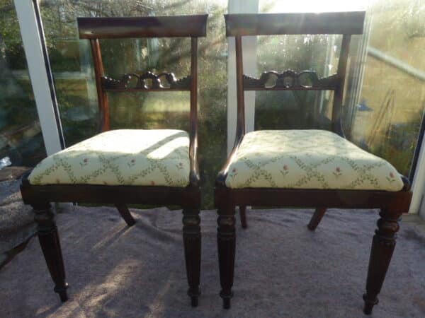 Pair of rosewood chairs circa 1830 with caned seats chairs Antique Chairs 4