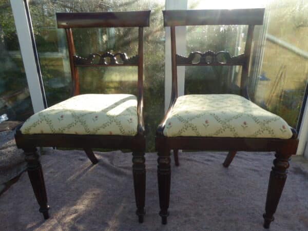 Pair of rosewood chairs circa 1830 with caned seats - Image 2
