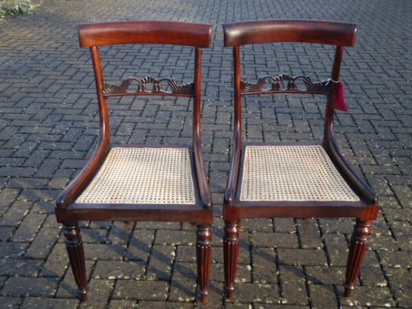 Pair of rosewood chairs circa 1830 with caned seats chairs Antique Chairs 3