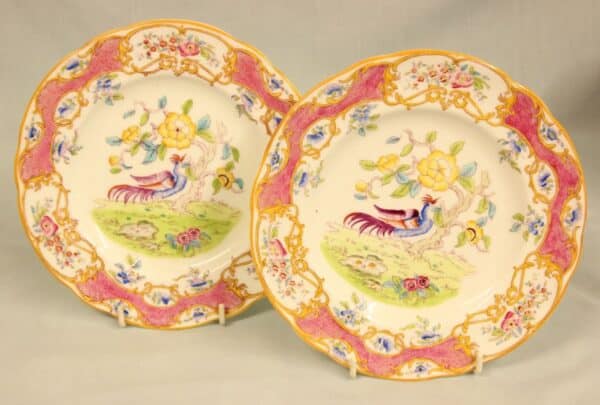 Antique Pair of Coalport Plates Antique Antique Ceramics 4