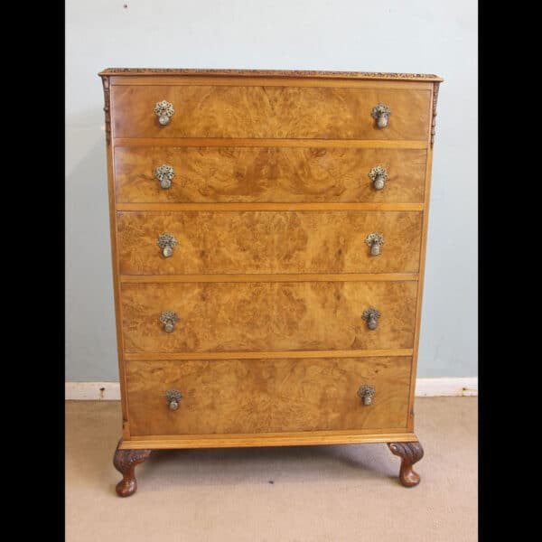 Antique Burr Walnut Chest of Drawers