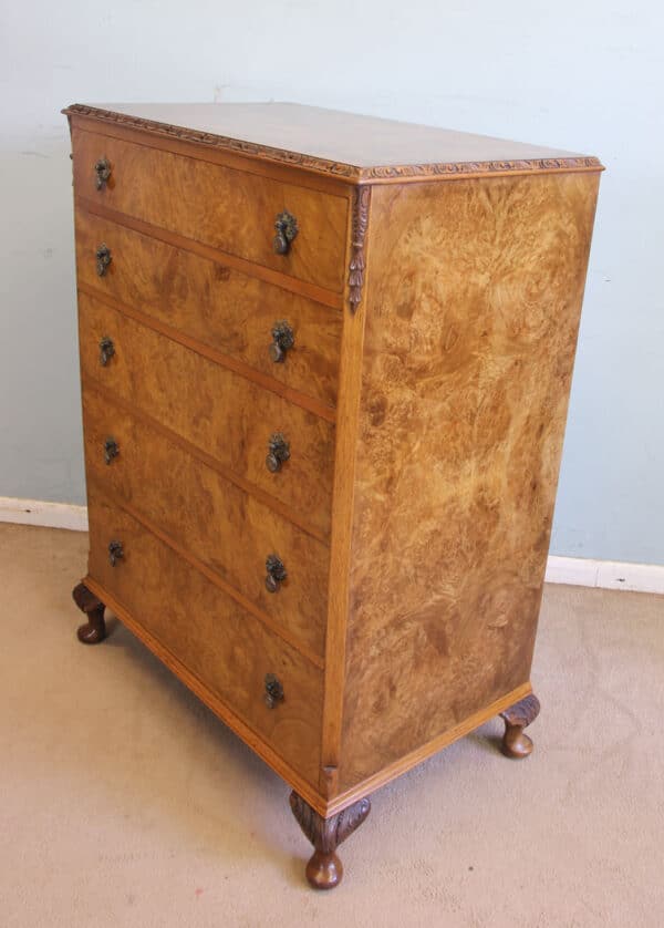 Antique Burr Walnut Chest of Drawers Burr, Walnut, Antique Chest Of Drawers 4