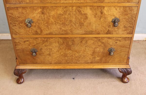 Antique Burr Walnut Chest of Drawers - Image 6
