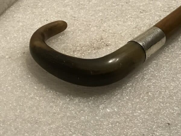 Gentleman’s walking stick sword stick with silver collar - Image 3