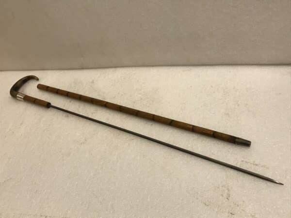 Gentleman’s walking stick sword stick with silver collar