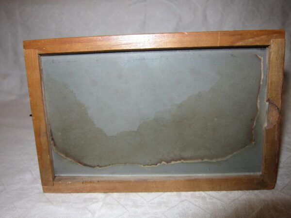 19th Century Fruitwood "Planox" Stereoscope - Image 5