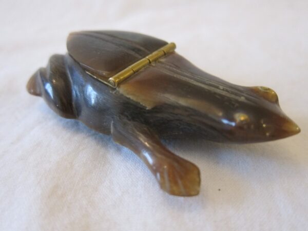 th Century French Carved Horn “Frog” Snuff Box carved Antique Collectibles 4