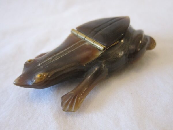 th Century French Carved Horn “Frog” Snuff Box carved Antique Collectibles 3