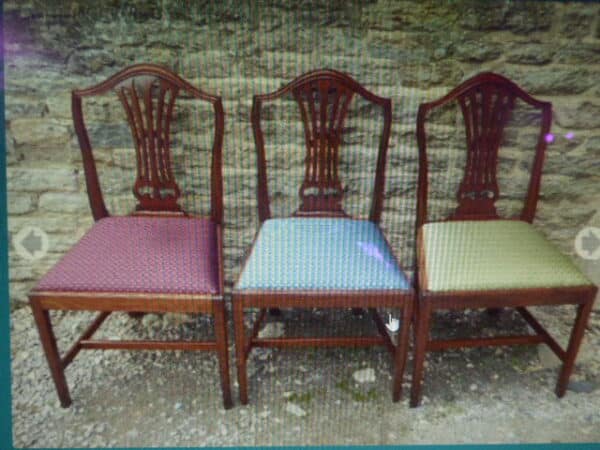 Set of 3 Victorian walnut dining chairs