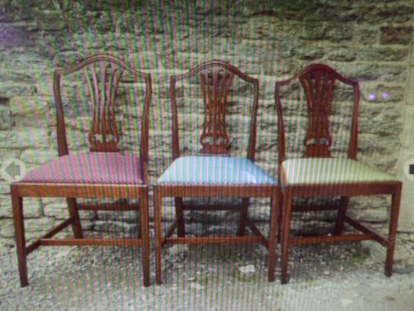 Set of 3 Victorian walnut dining chairs - Image 2