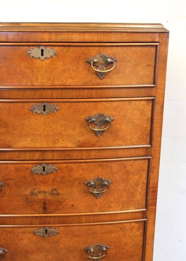 Antique Burr Walnut Bow Fronted Chest of Drawers - Image 10