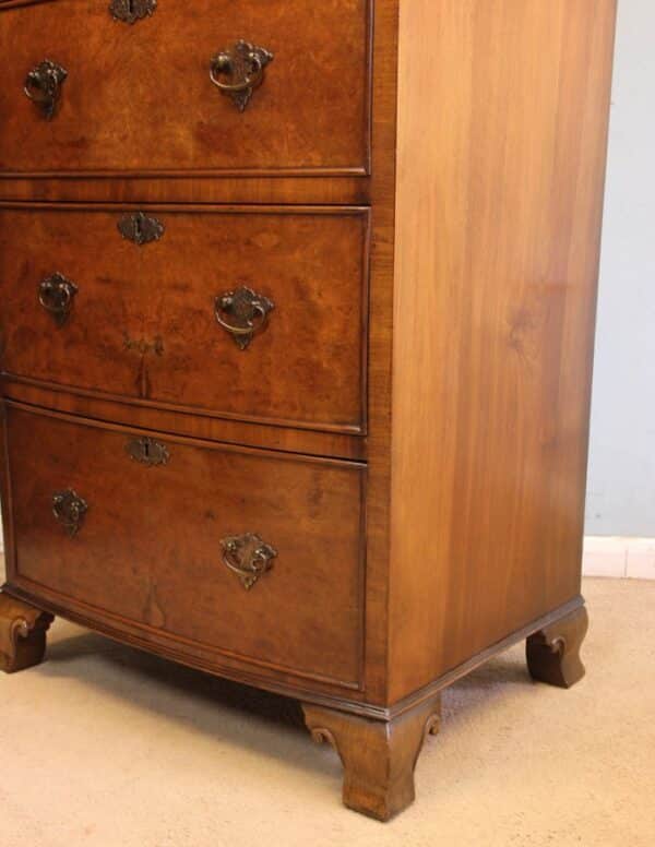 Antique Burr Walnut Bow Fronted Chest of Drawers - Image 8