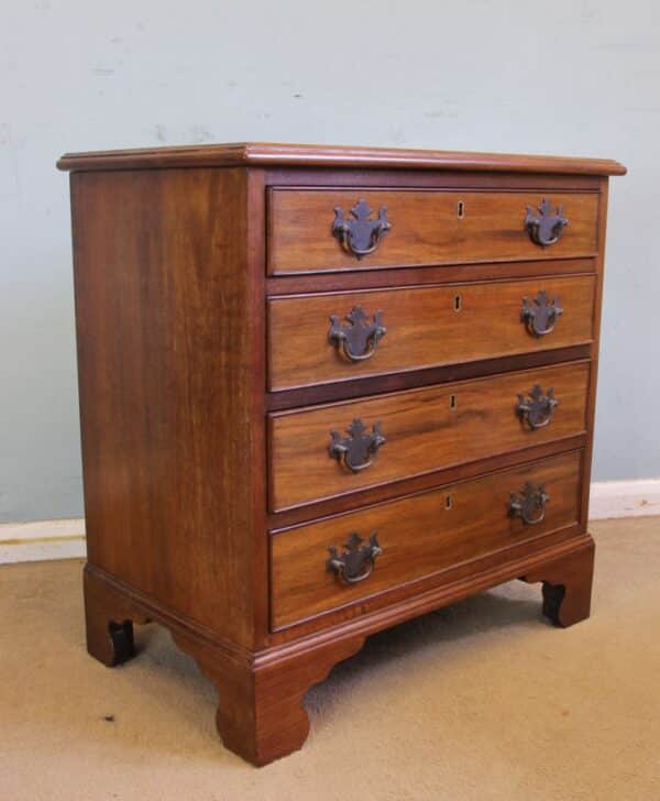 Small Walnut Chest of Drawers - Image 8