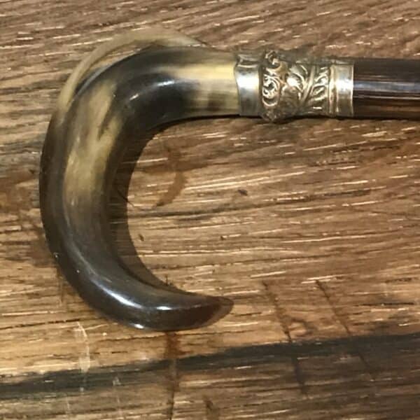 Ladies partridge wood walking stick with hidden stiletto - Image 7