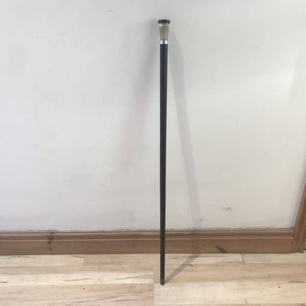 Gentleman’s walking stick Blowpipe Victorian