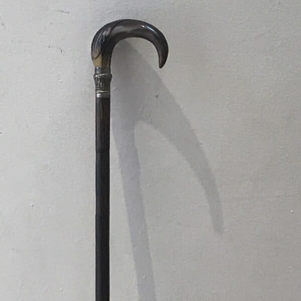 Ladies partridge wood walking stick with hidden stiletto - Image 2
