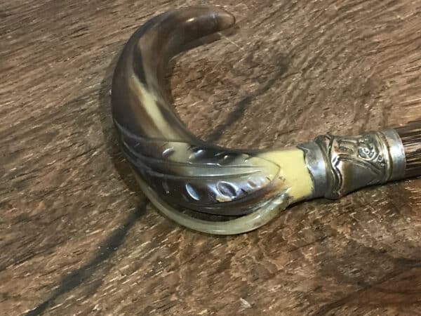 Ladies partridge wood walking stick with hidden stiletto - Image 12