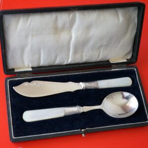 A Vintage Boxed Mother of Pearl Butter Knife & Preserve ( Jam ) Spoon Set / Ideal Gift / Present Boxec Cutlery Set Antique Silver