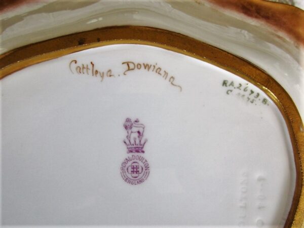 Antique English Edwardian Royal Doulton Porcelain Cabinet Dish ~ “Cattleya Dowiana Orchids” ~ David Dewsberry David Dewsberry Antique Ceramics 6