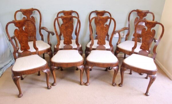 A Superb Set of Eight Burr Walnut Dining Chairs burr Antique Chairs 4