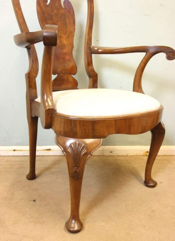 A Superb Set of Eight Burr Walnut Dining Chairs burr Antique Chairs 13