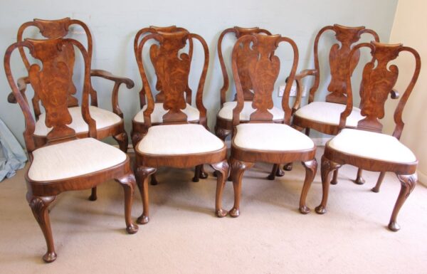 A Superb Set of Eight Burr Walnut Dining Chairs burr Antique Chairs 20