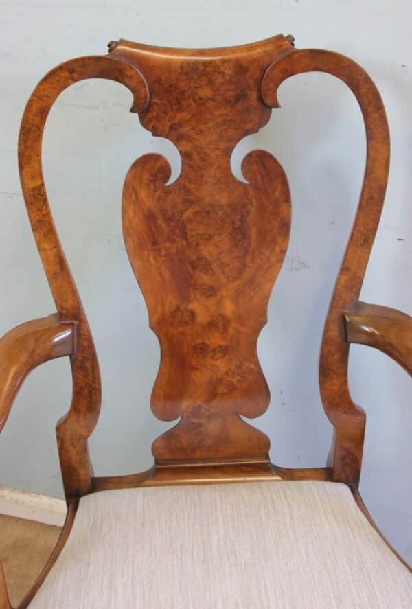 A Superb Set of Eight Burr Walnut Dining Chairs burr Antique Chairs 8