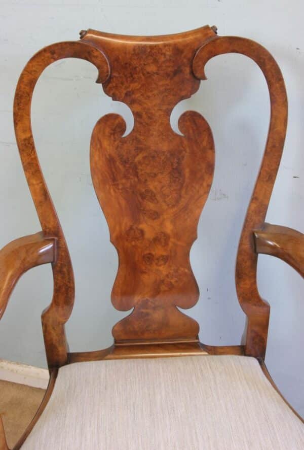 A Superb Set of Eight Burr Walnut Dining Chairs - Image 6